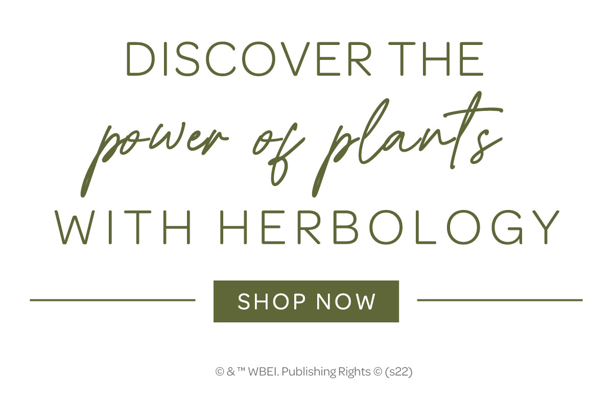 NEW! Harry Potter Herbology X JuJuBe JuJuBe