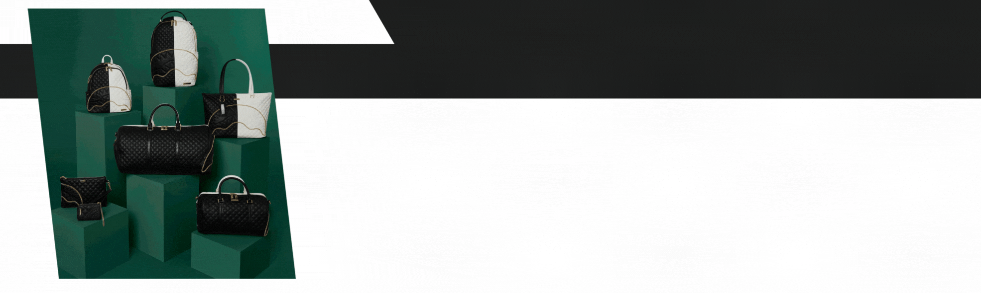 GET LEVELED UP! Sprayground