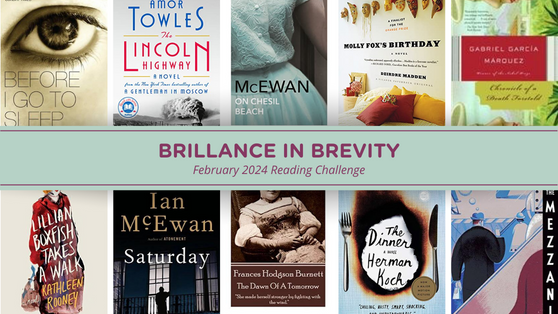 February 2024 Reading Challenge Book Cover-Brillance in Brevity